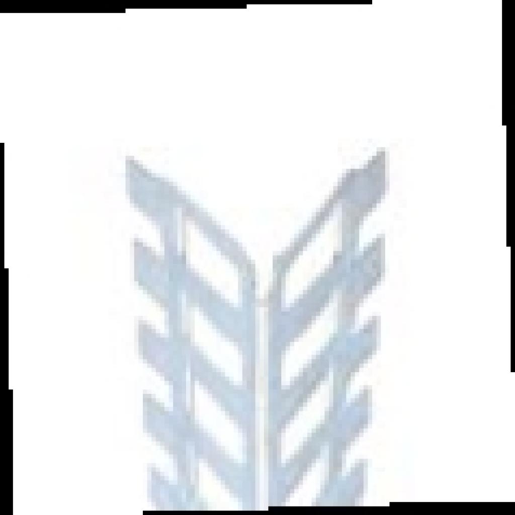 Buitenbepleistering Corner Alu (10mm) - 3 m (0214)